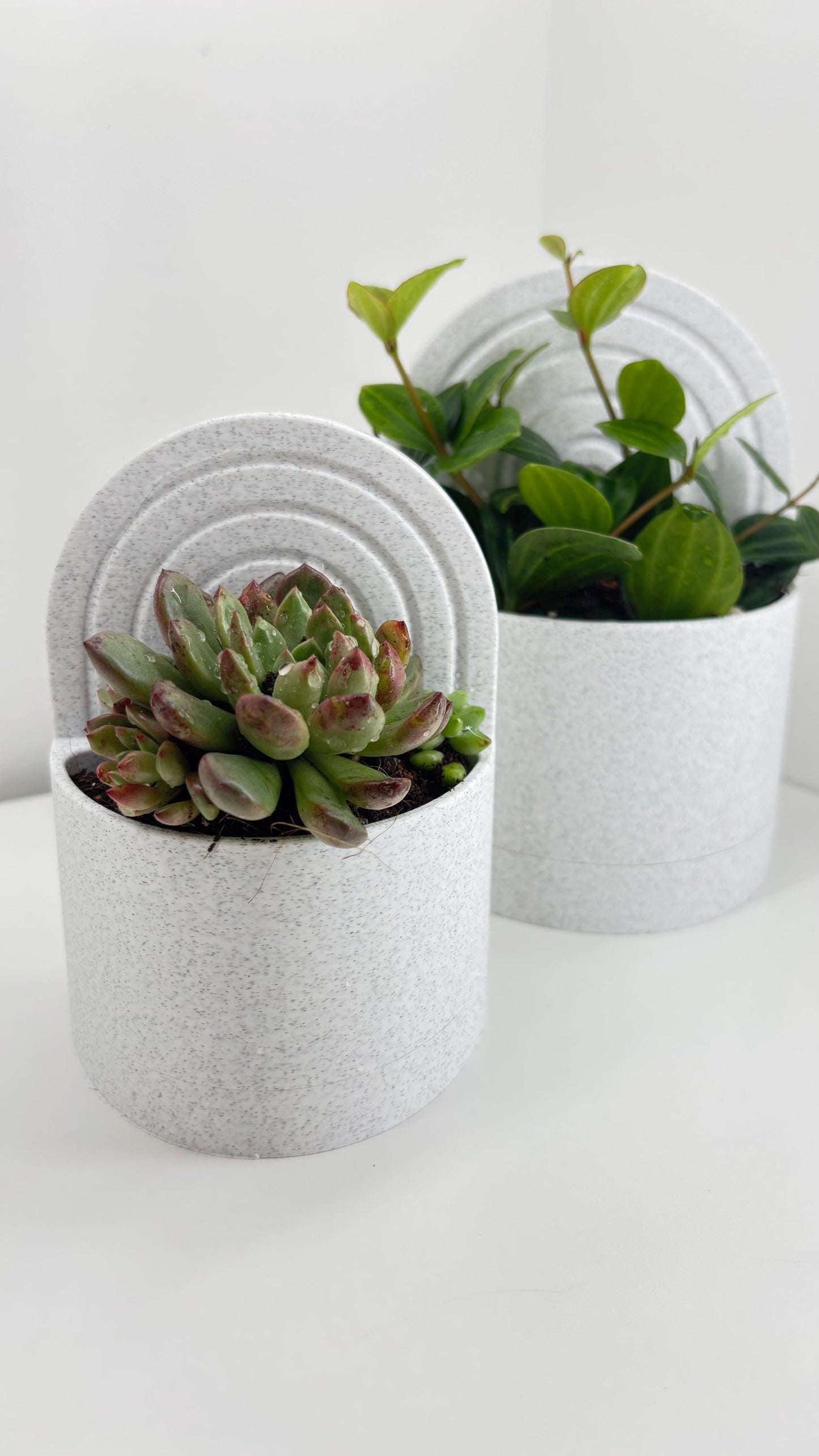 Bookend Planter Set