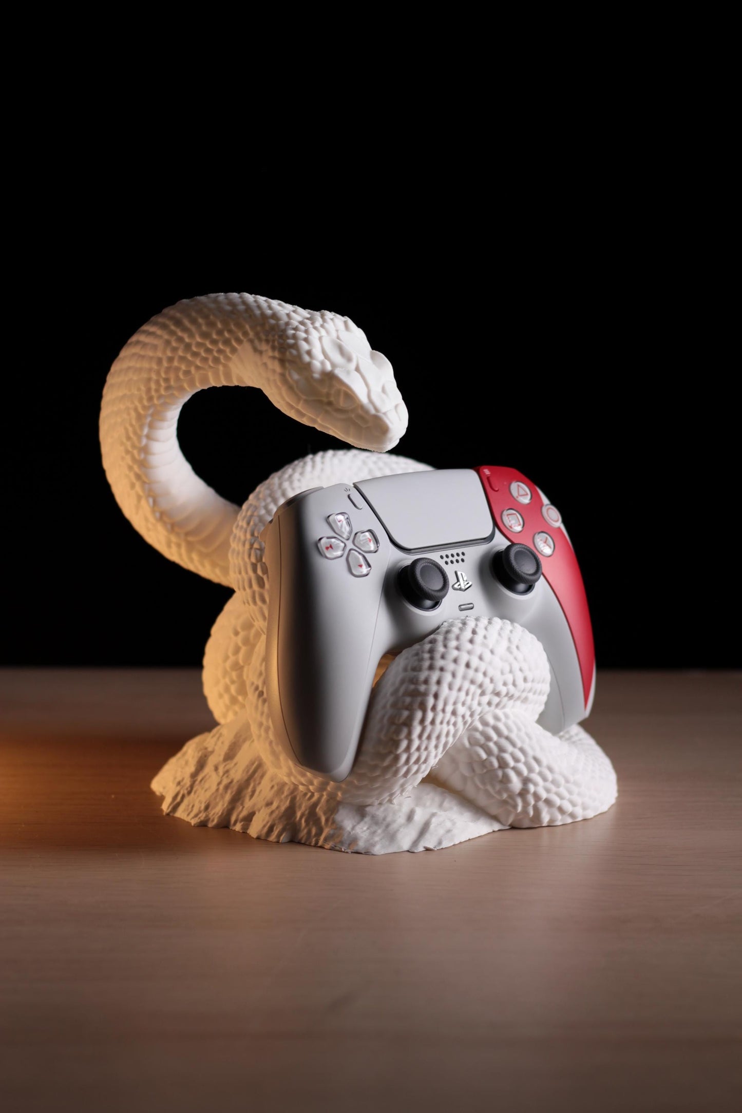 Serpen Controller Holder