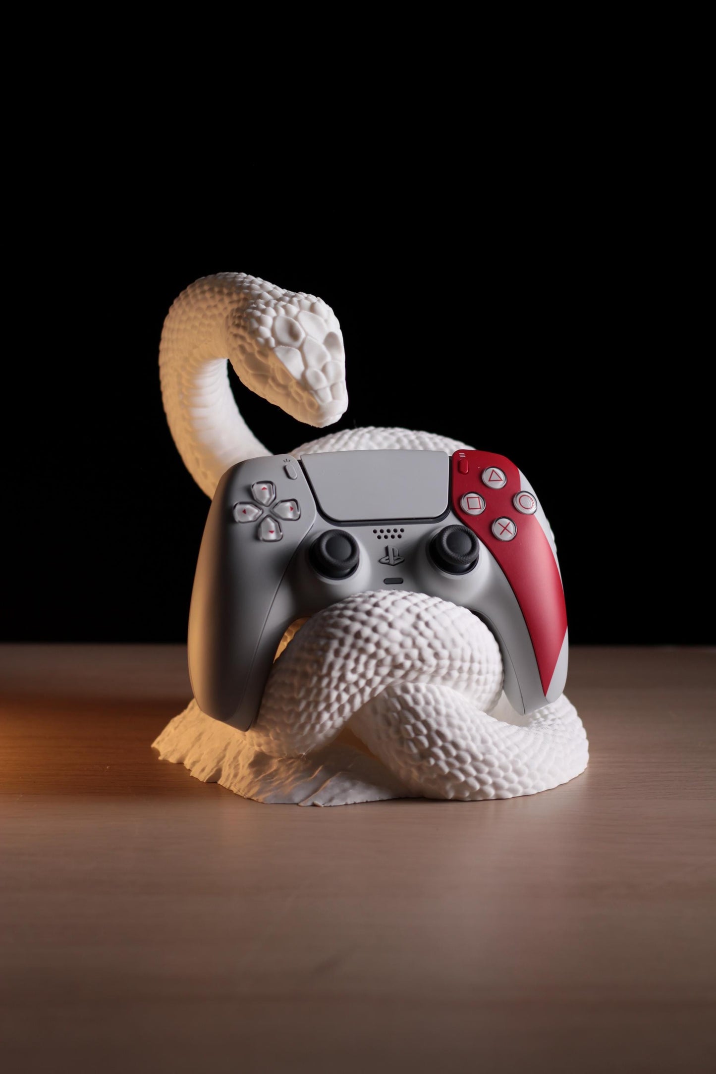 Serpen Controller Holder
