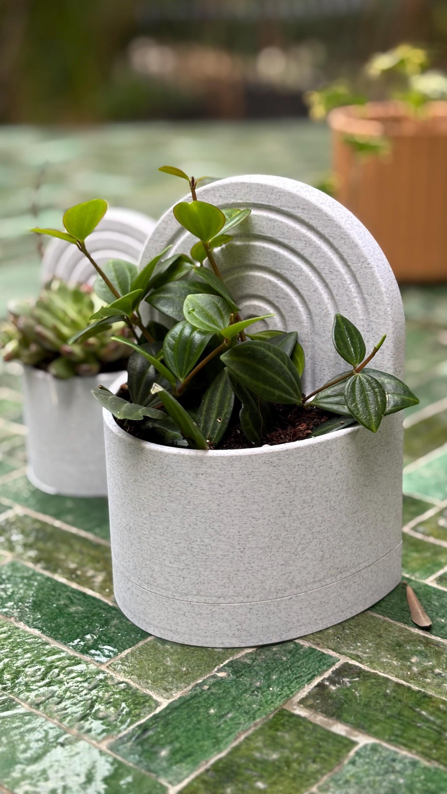 Bookend Planter Set
